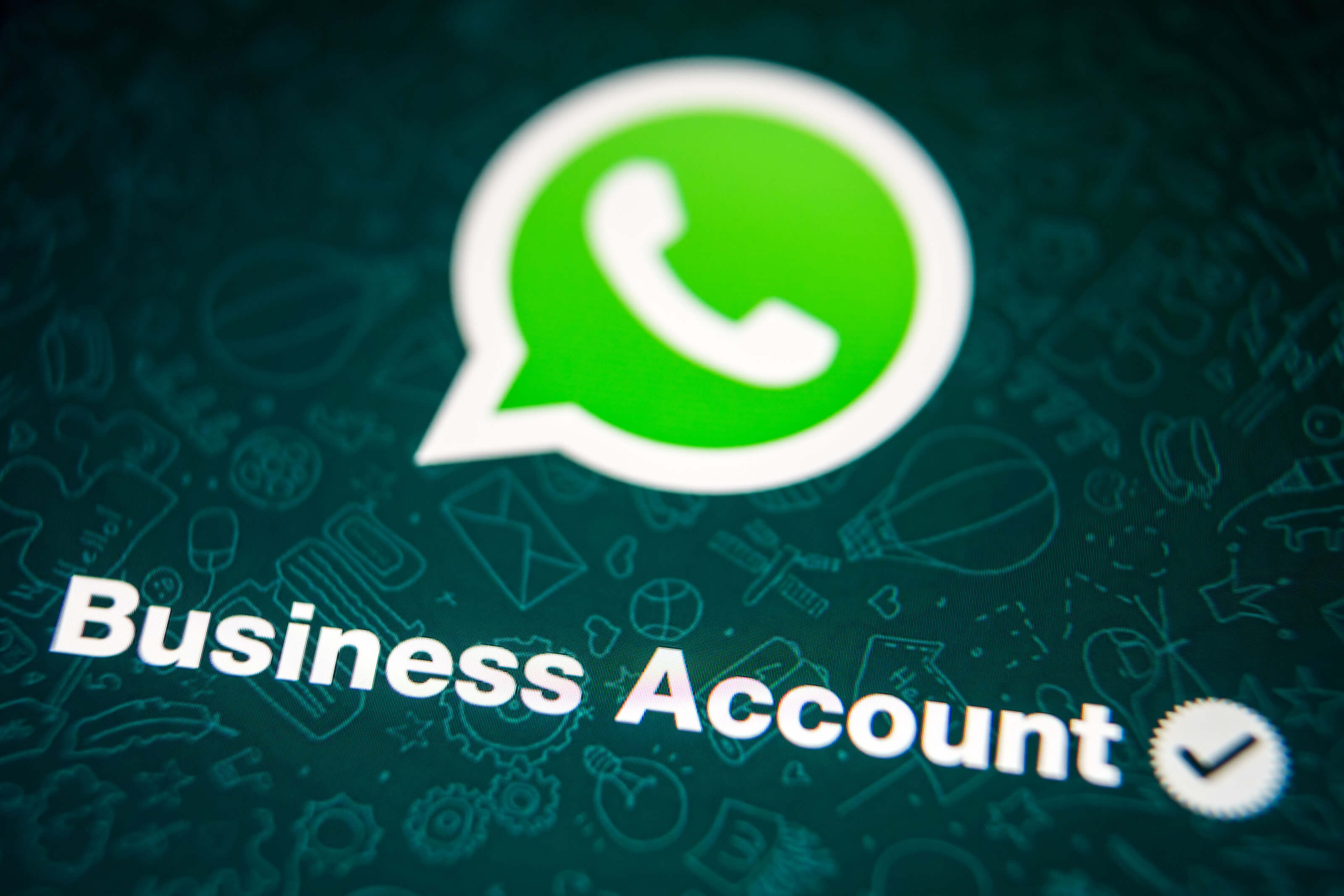 what is whatsapp business api